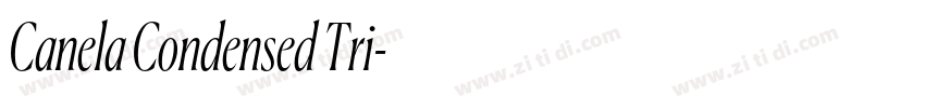 Canela Condensed Tri字体转换